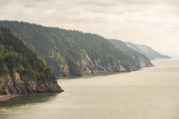 Parc provincial du sentier Fundy