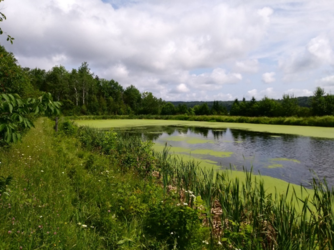 Parc provincial Mactaquac