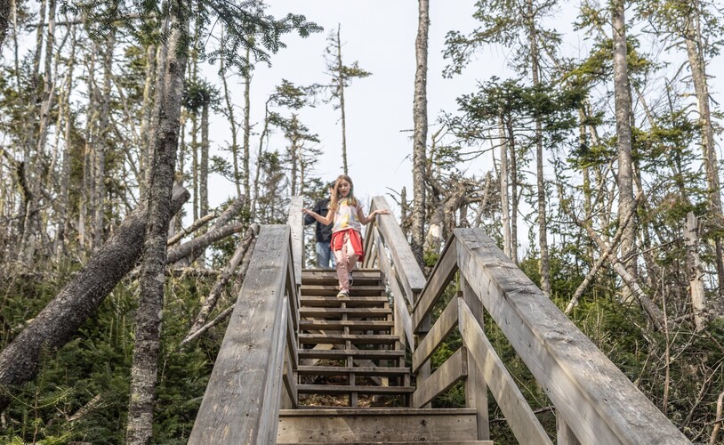 New River Beach Provincial Park Image