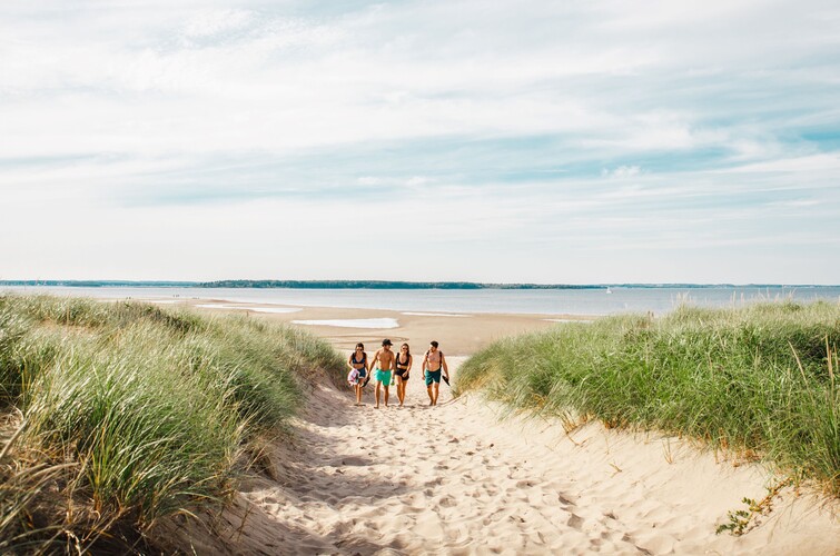 Parc provincial de la plage Parlee Image